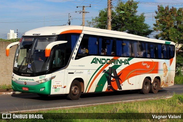 MT: Acidente com ônibus da Viação Andorinha deixa um morto e diversos feridos na BR-070 8 9f538af7c5dcce2e5a52aa30aa61a979