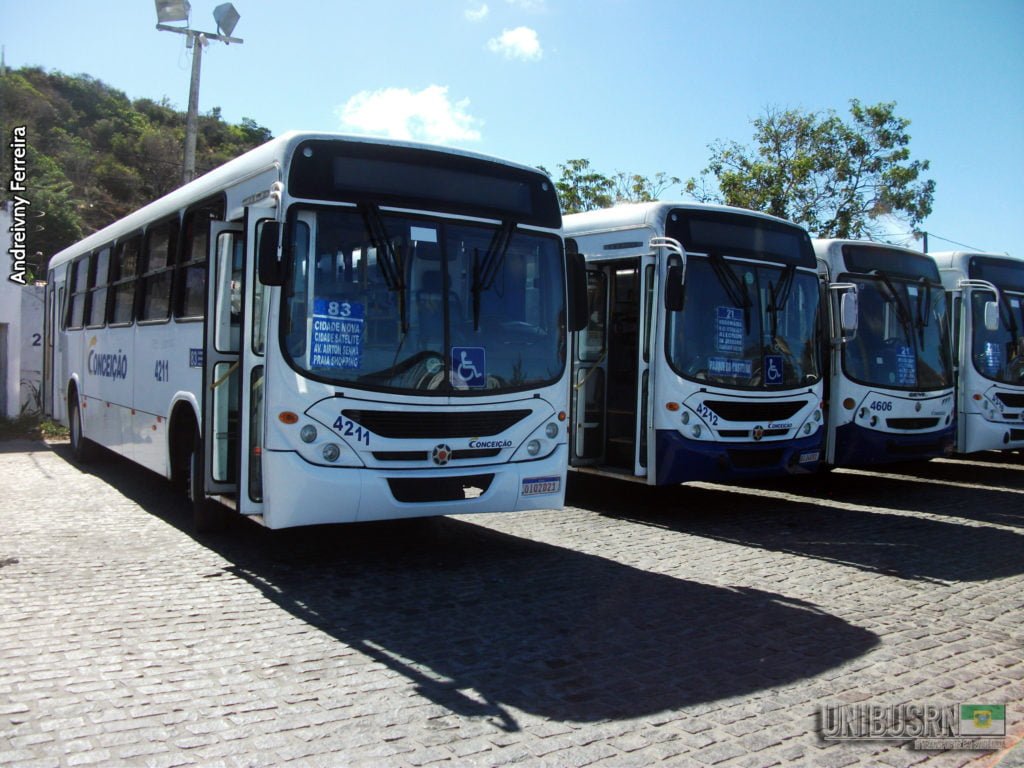 Artigo: O transporte público pós-eleições 2 DSCF4118