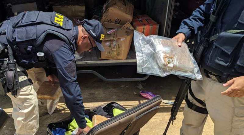 No Ceará, PRF apreende mais de 7 quilos de skunk com passageiro de ônibus com destino a Natal 5 WhatsApp Image 2020 03 03 at 13.00.31