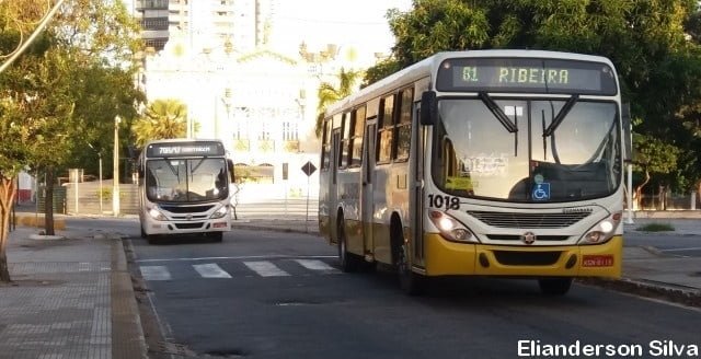 Empresas de ônibus têm perdas de R$ 2,5 bi e buscam socorro federal 2 Sans titre 1 4