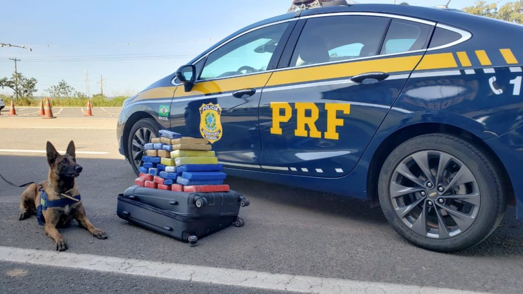 DF: PRF apreende 27 kg de maconha em bagageiro de ônibus 5 Divulgação PRF