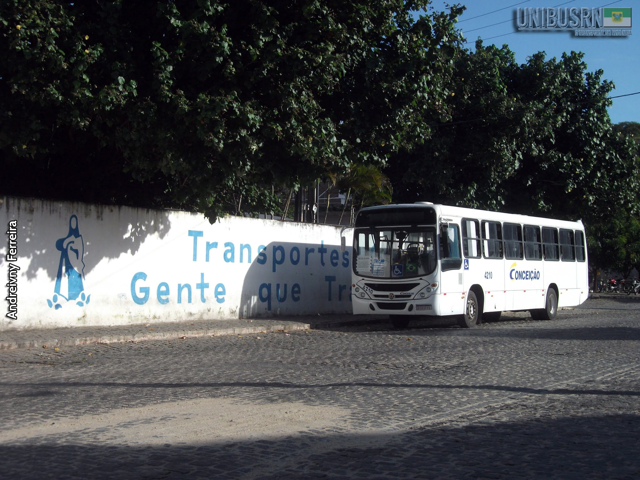 Motorista de ônibus vítima de quatro assaltos será indenizado pela empresa em Natal