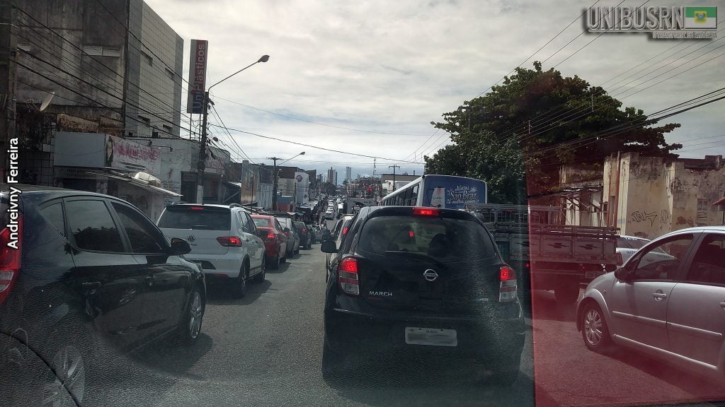 Alecrim 01 Andreivny