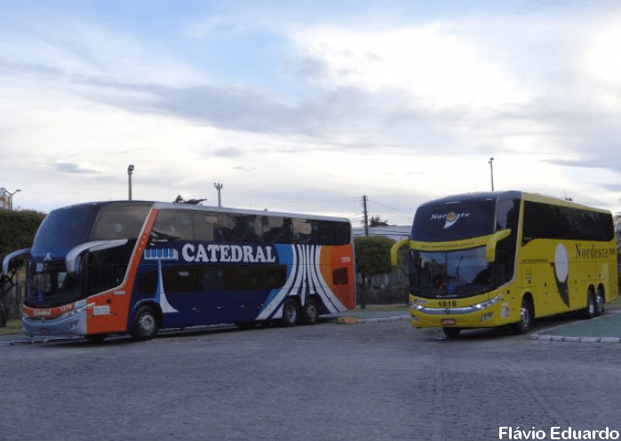 Nordeste anuncia parceria com a Catedral e vai retomar operações para Fortaleza no dia 28 2 Sans titre 2 5