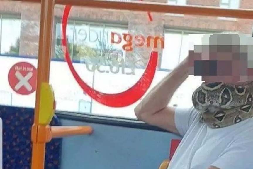 Inglaterra: Passageiro de ônibus usa cobra como máscara na cidade de Salford 1 Sem Titulo 5 13