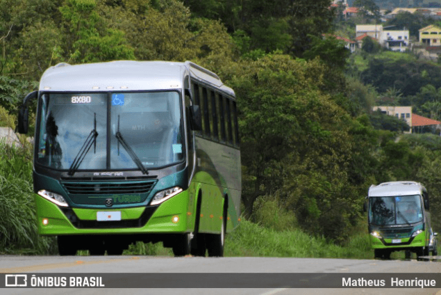 Turin Transportes Matheus Henrique OB