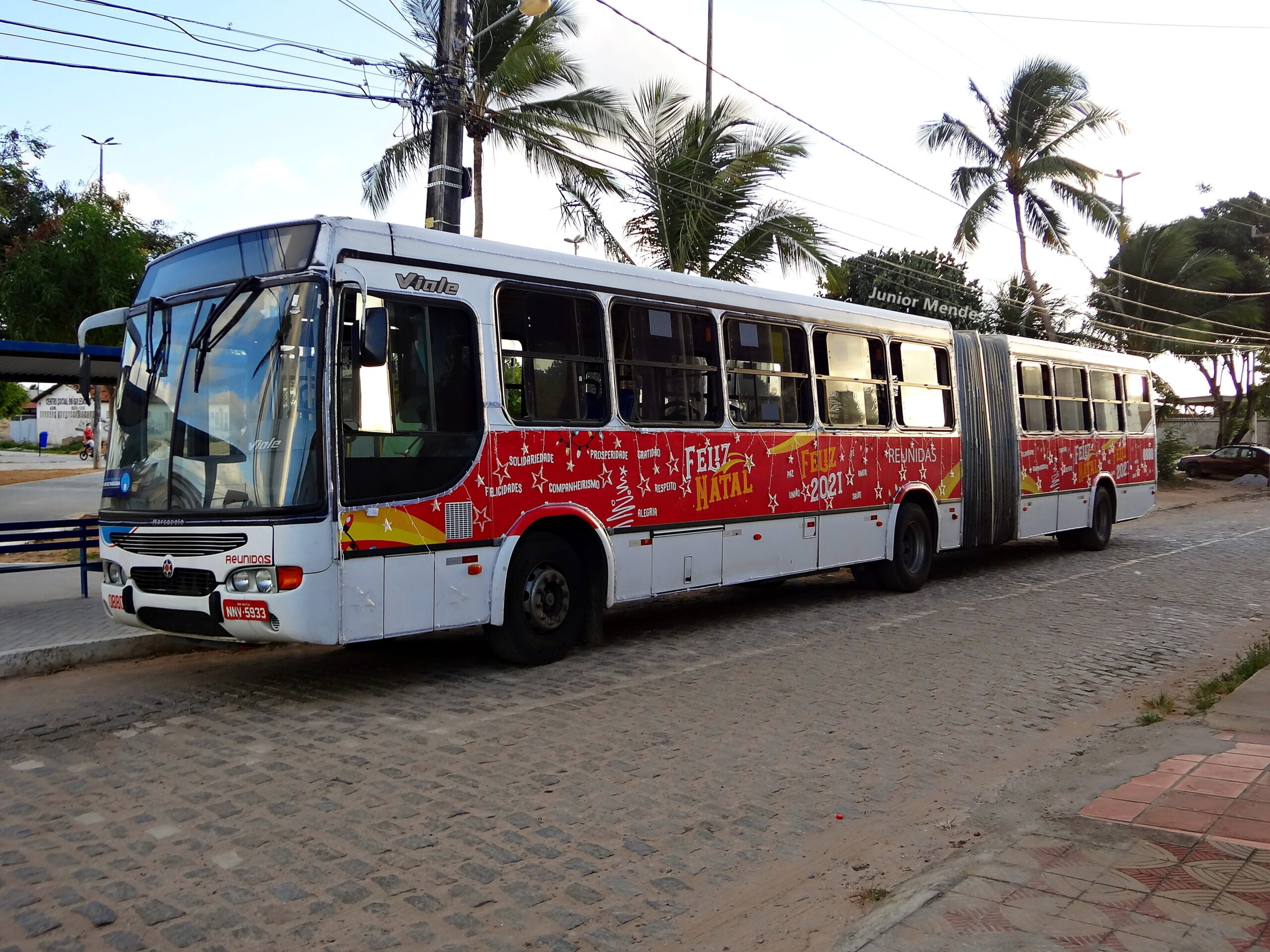 DSC04216 Copia scaled