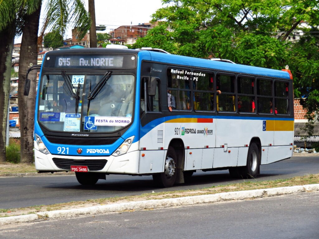 PE: MP recomenda retirada de catracas duplas de ônibus após passageira ficar com a cabeça presa no equipamento 2 Pedrosa 921 Rafael
