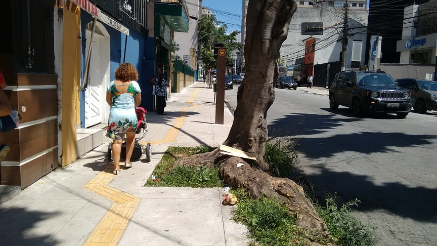 Árvores na calçada: aliadas que podem virar inimigas da mobilidade a pé 2 quem nunca suou ao passar com carrinho de bebe ou de feira