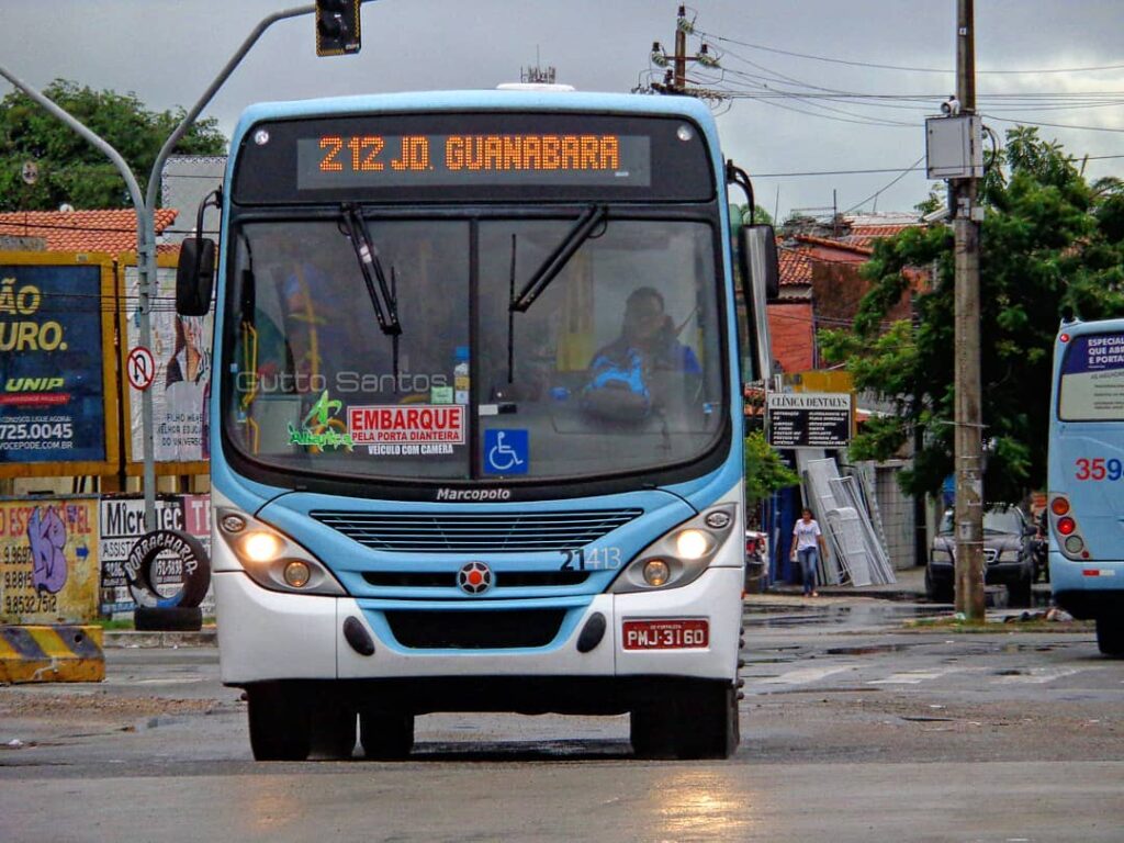 142961700 246430407066570 3818086851049798306 n