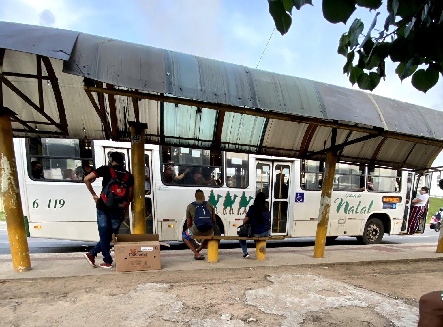 Desembarque fora da parada de ônibus para vulneráveis tem votação adiada no Senado