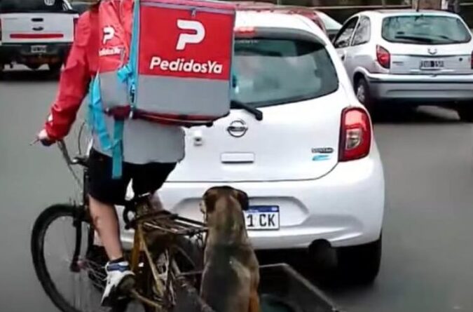 Entregador argentino adapta bike para não deixar seu cão sozinho 2 o fiel amigo sempre acompanha alejandro nas entregas1