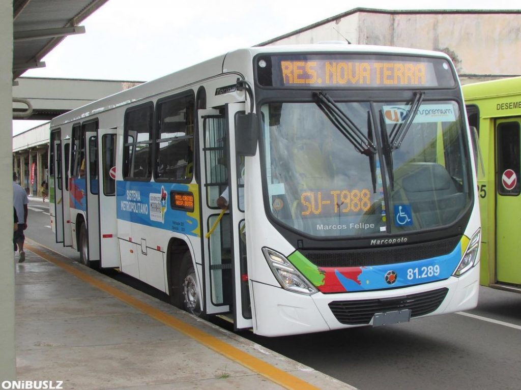 170854369 954289161976490 555318755835828476 n