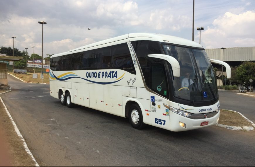 Viação Ouro e Prata celebra 82 anos com ação sustentável