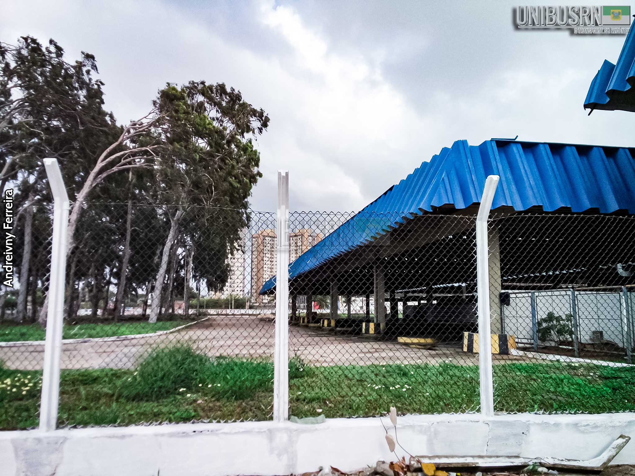 Rodoviária de Natal registra grande movimento com distribuição de passagens gratuitas para eleições municipais