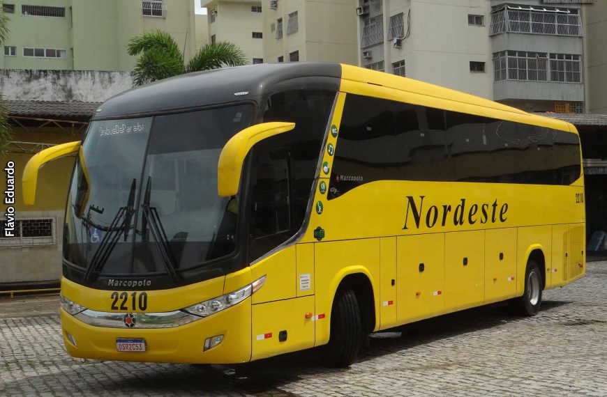 Viação Nordeste reincorpora ônibus em sua frota