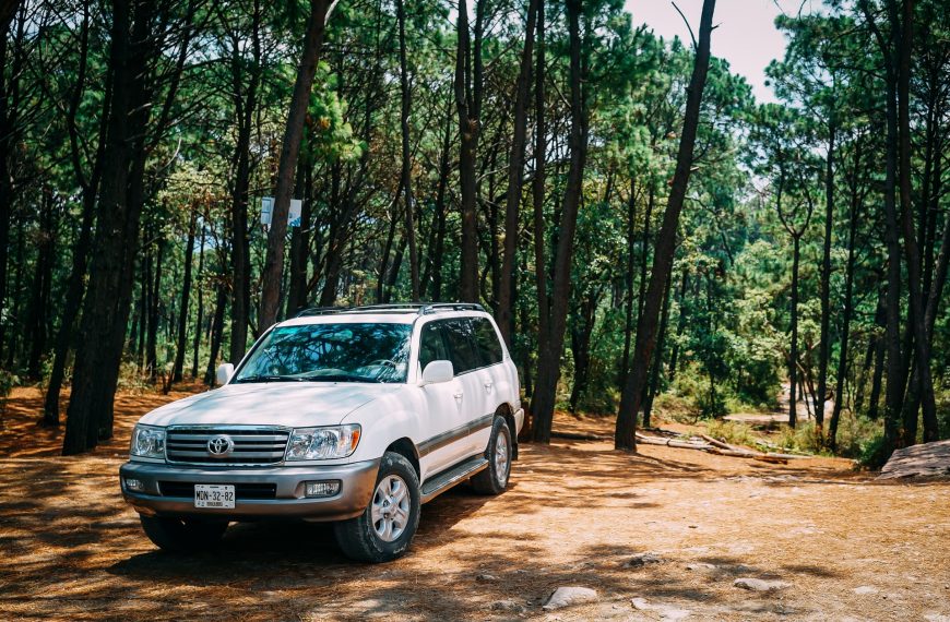 Câmara dos Deputados analisa projeto que autoriza uso de veículo 4×4 no transporte turístico ou fretado de passageiros