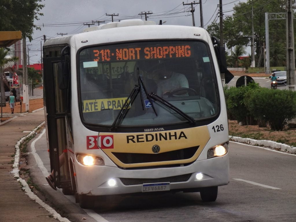 Alternativo 310 Davi