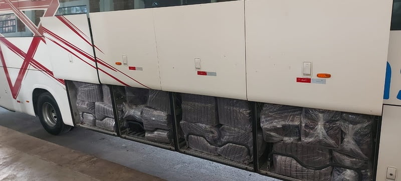 Empresas paulistas de transporte rodoviário de passageiros investem para consolidar iniciativas ESG 5 Divulgacao