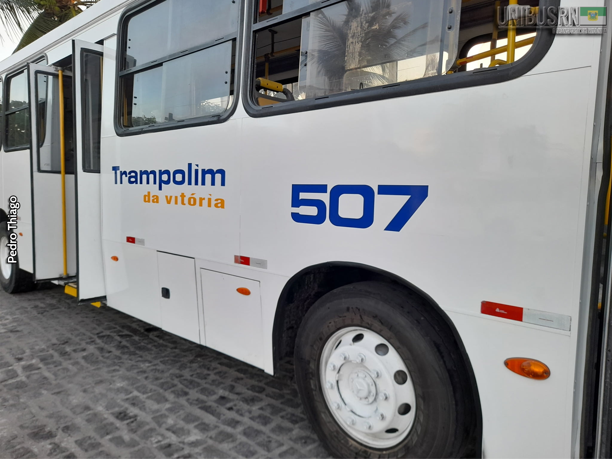 Trampolim da Vitória atualiza identidade visual de seus ônibus