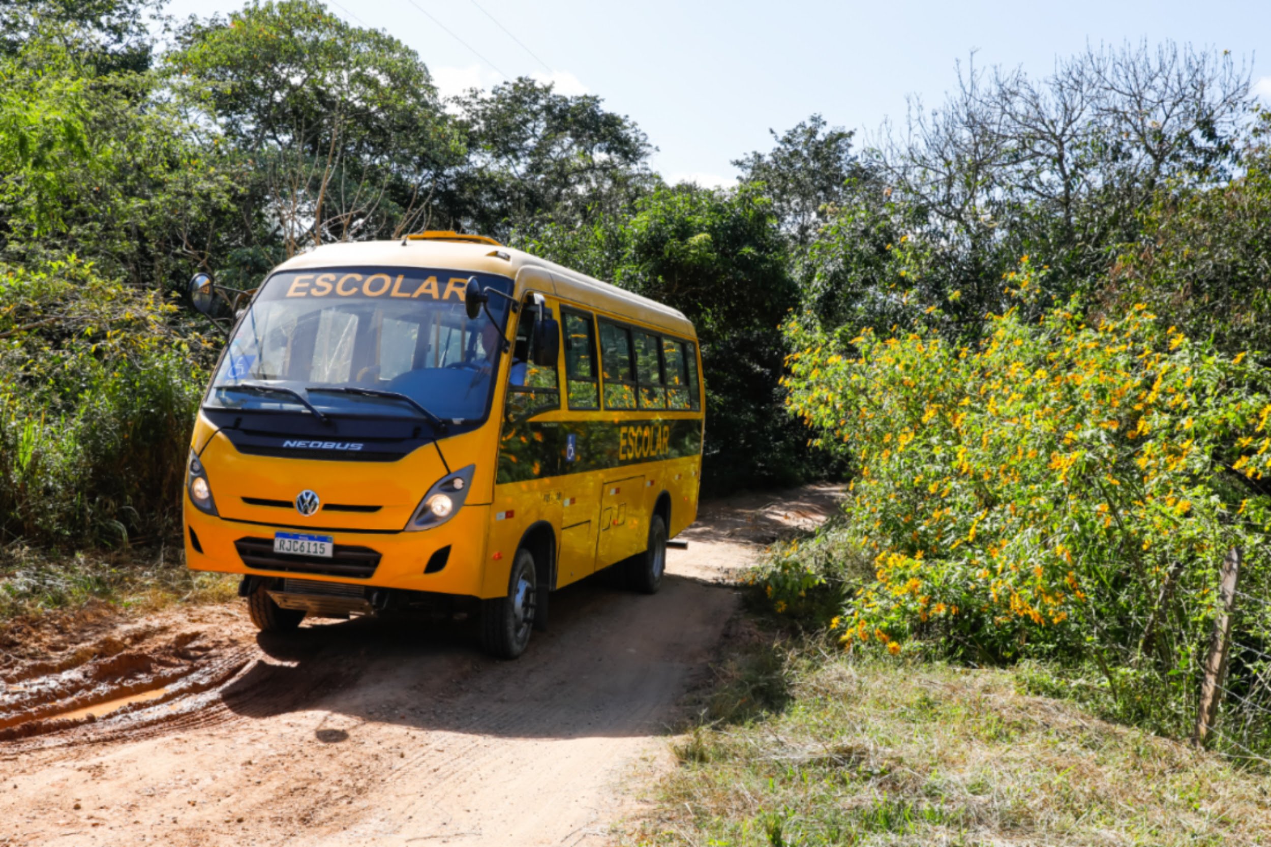 Divulgacao VW 2