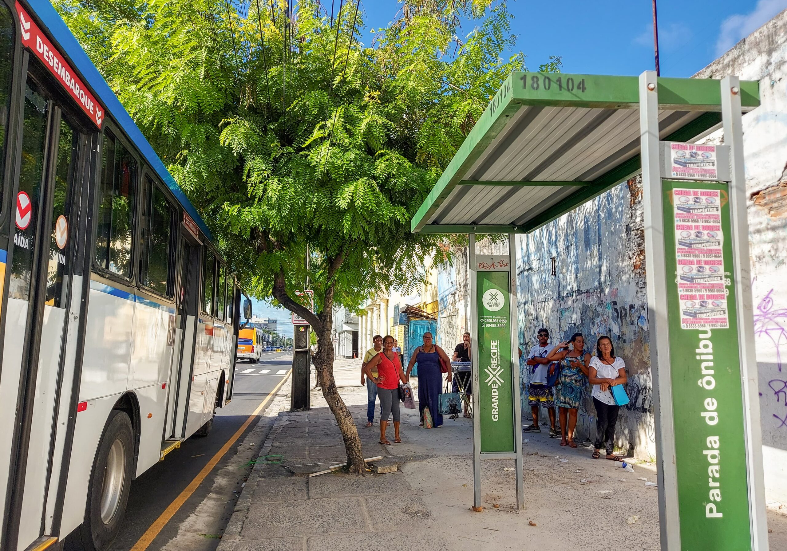Usuários de ônibus no grande Recife enfrentam dificuldades com a infraestrutura dos pontos de parada
