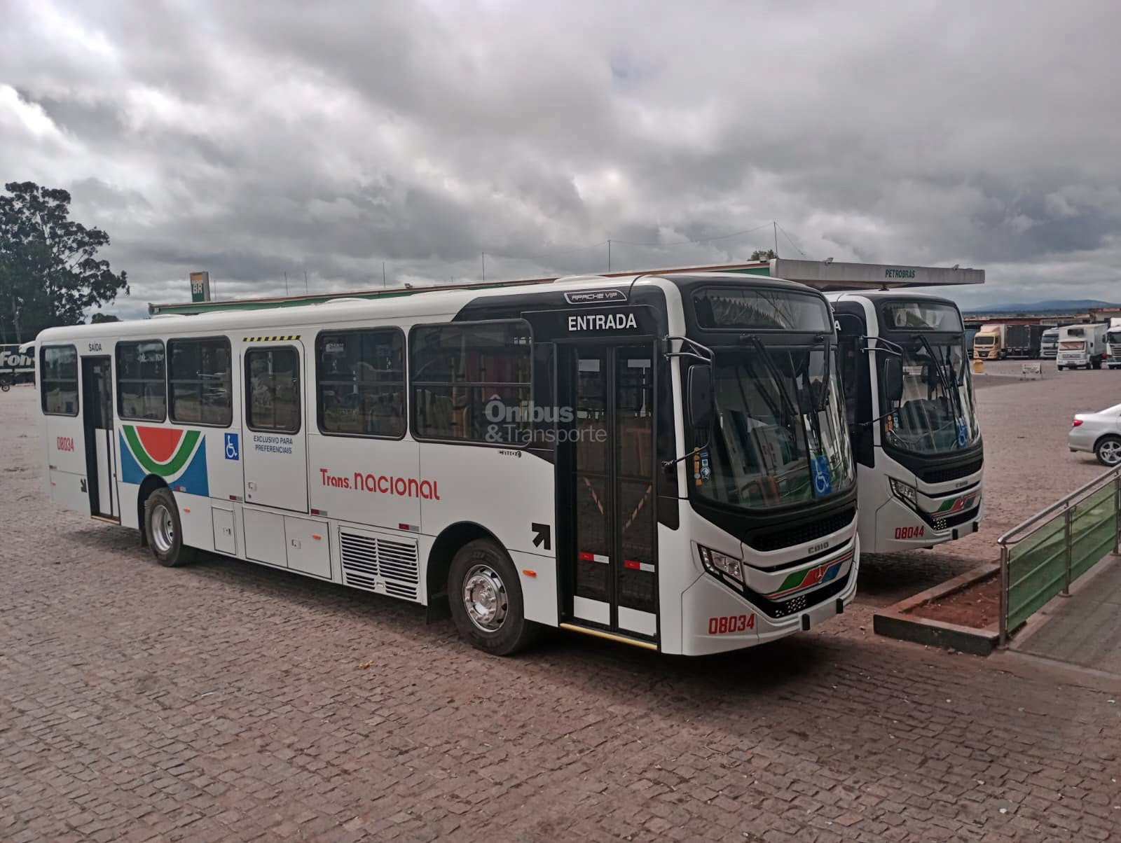 Empresa Transnacional renova frota de ônibus em Natal com configuração inédita