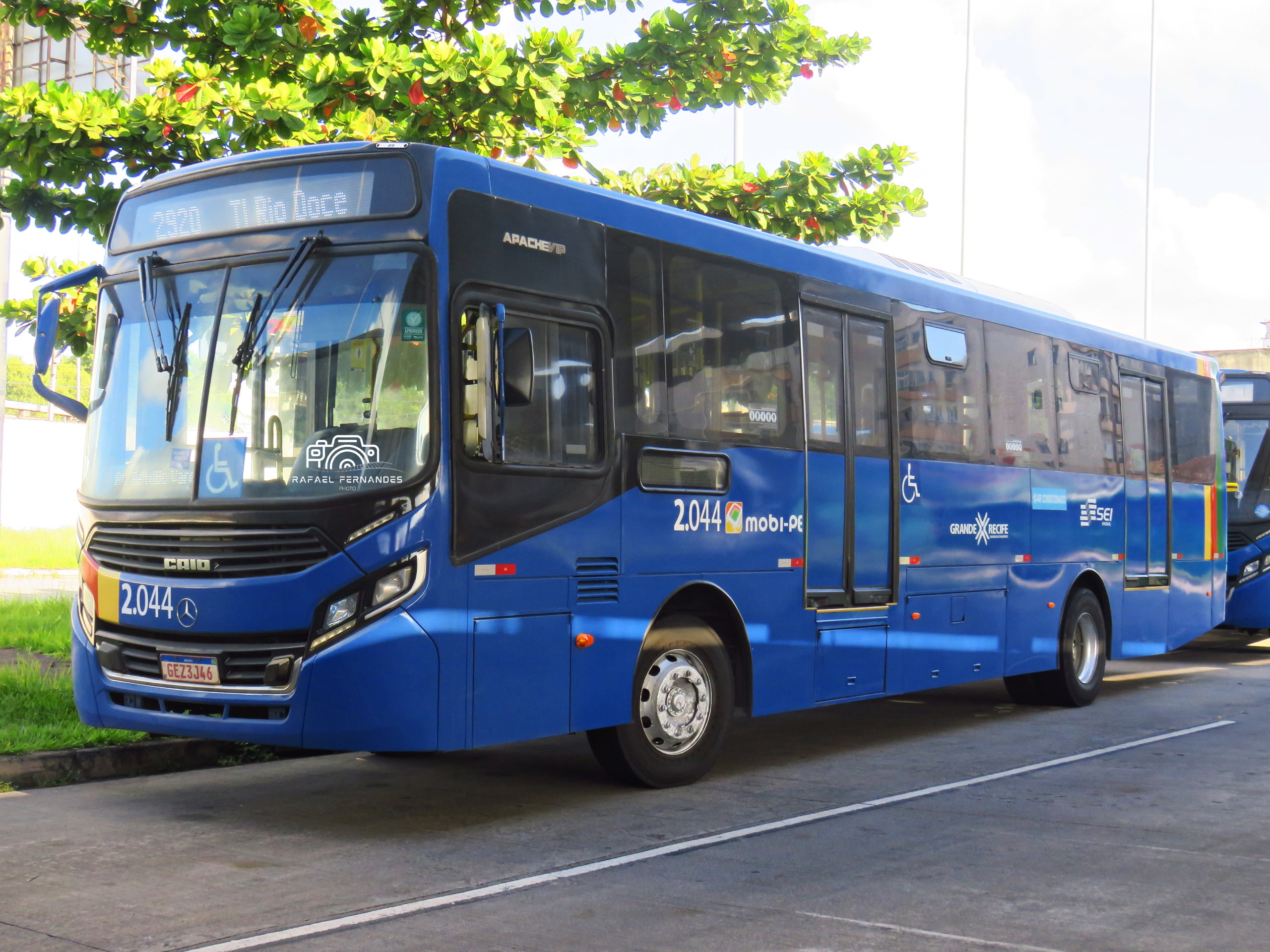 Recife terá 40 novos ônibus no Novo PAC Mobilidade 2025