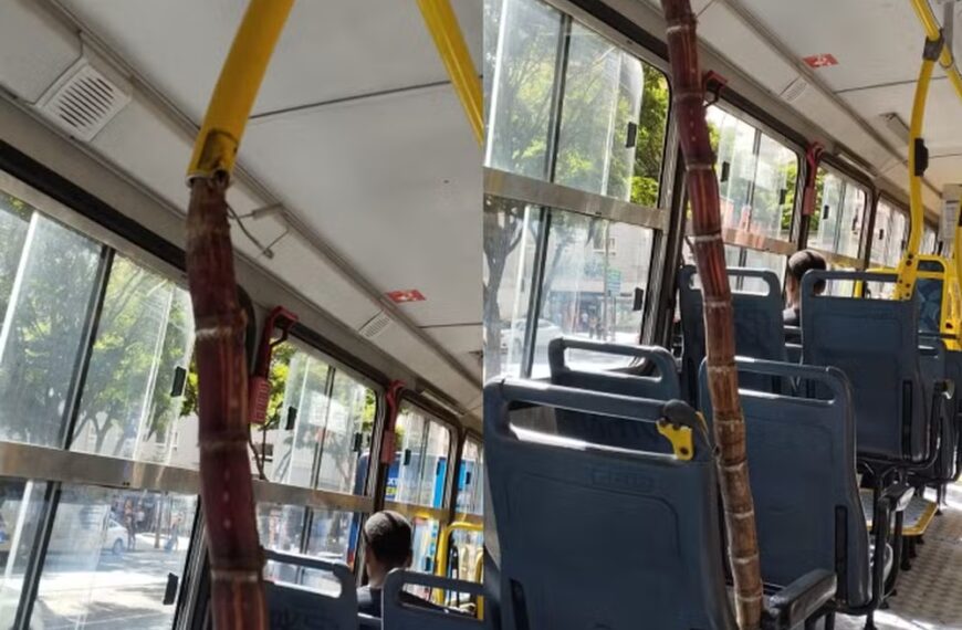 Cana de Açúcar substitui corrimão de ônibus em Belo Horizonte