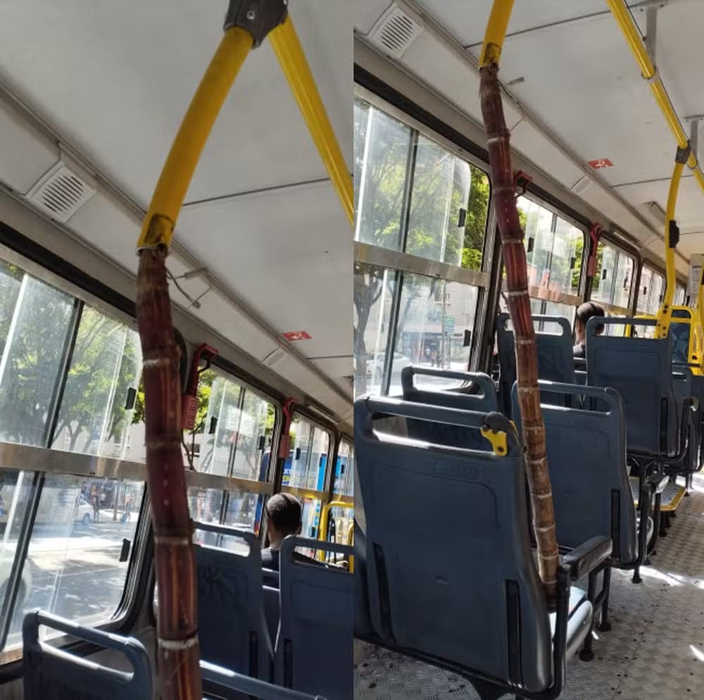 Reproducao Arquivo pessoal TV Globo G1 MG