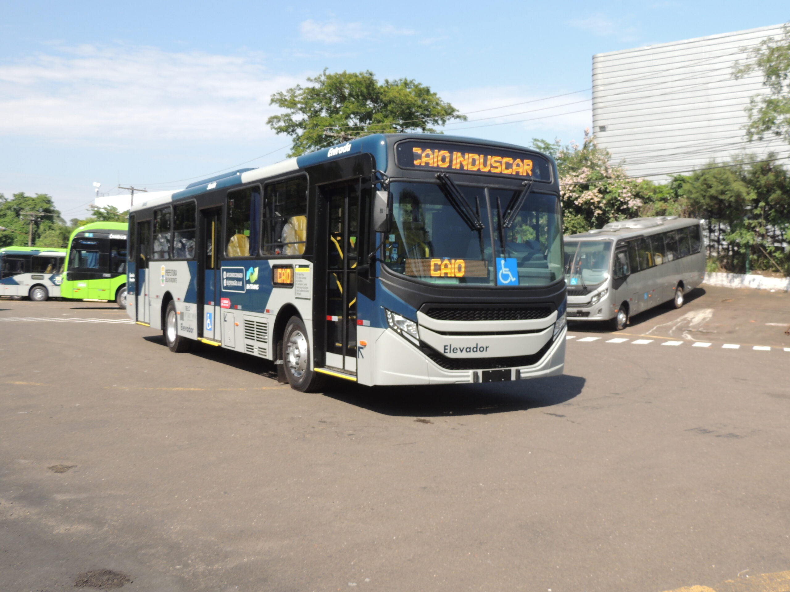 Continental 5 scaled