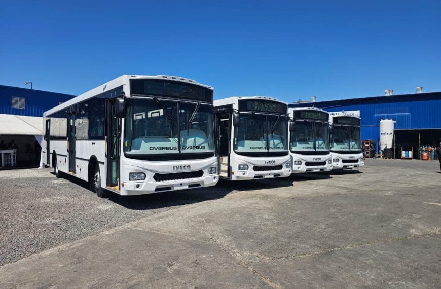 Iveco fornece 77 novos ônibus para modernização do transporte de passageiros na Argentina