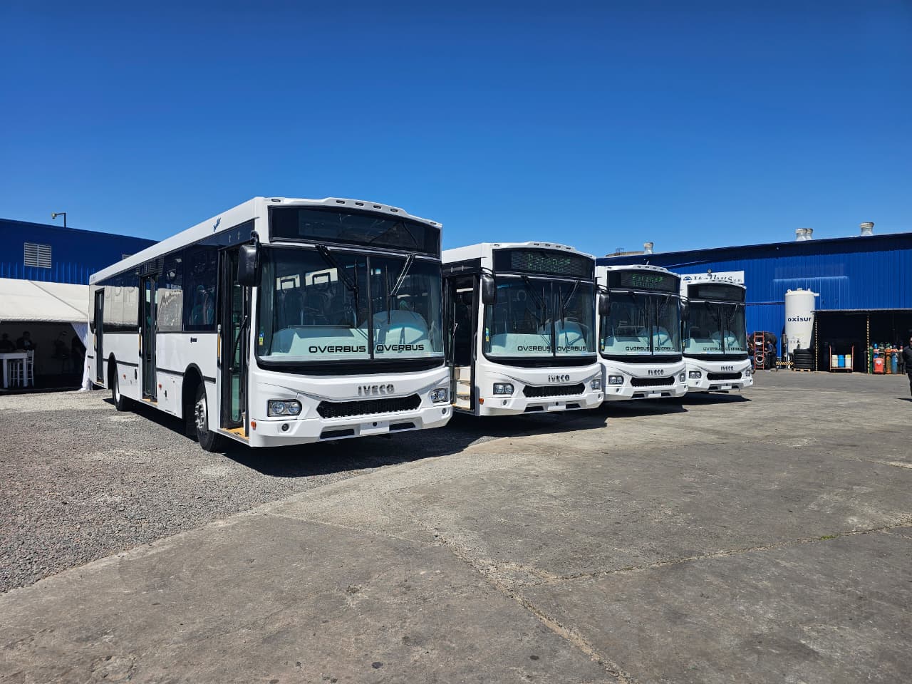 Iveco fornece 77 novos ônibus para modernização do transporte de passageiros na Argentina