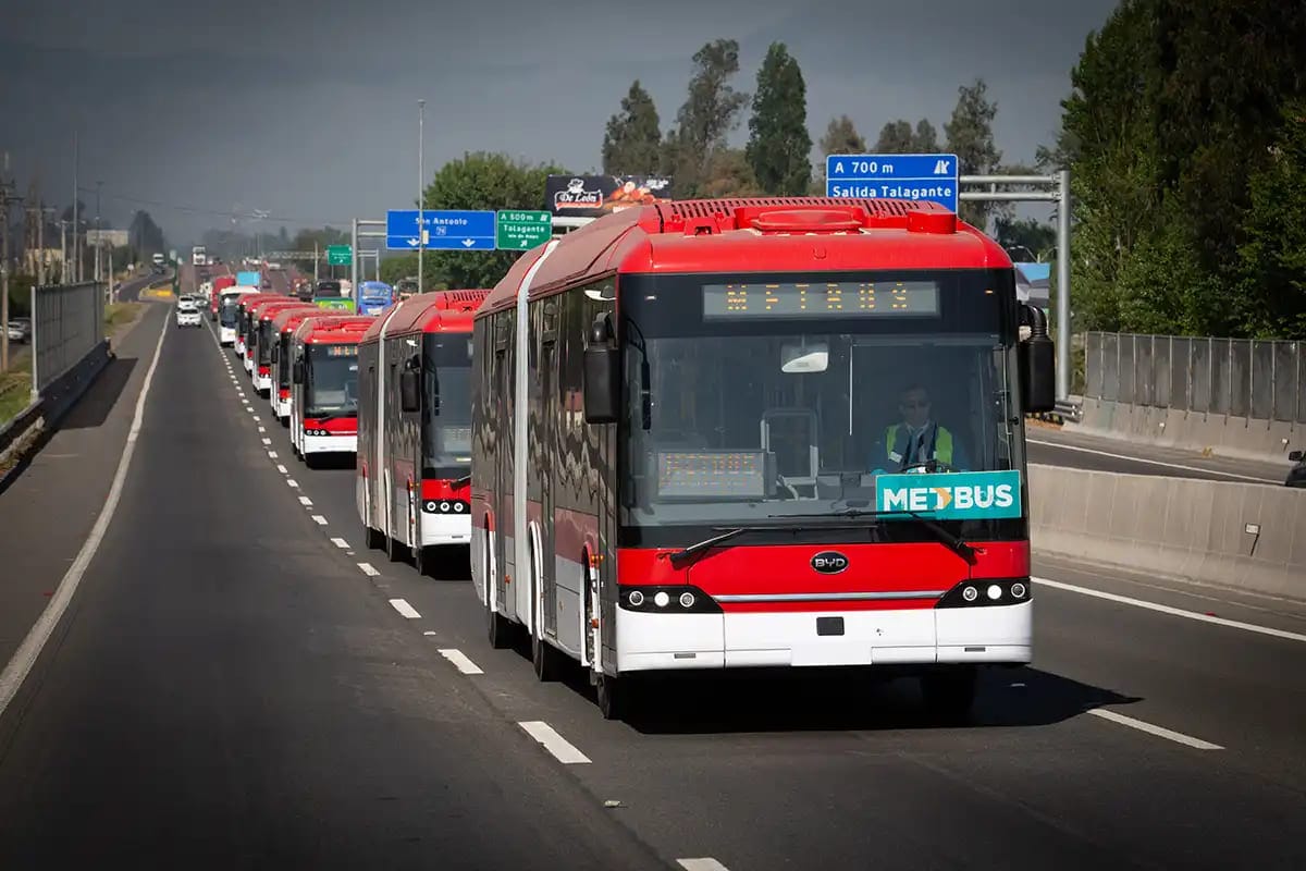 Santiago amplia frota elétrica e lança 94 ônibus articulados da BYD no sistema RED Metropolitana