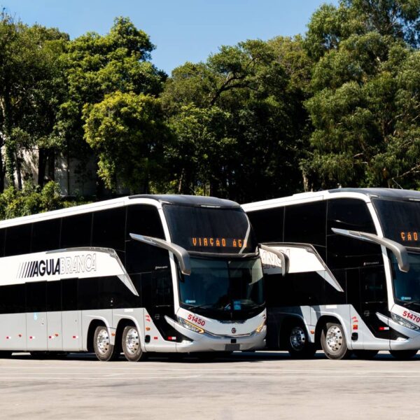 Viação Águia Branca celebra 80 anos com ônibus históricos que resgatam identidade visual clássica