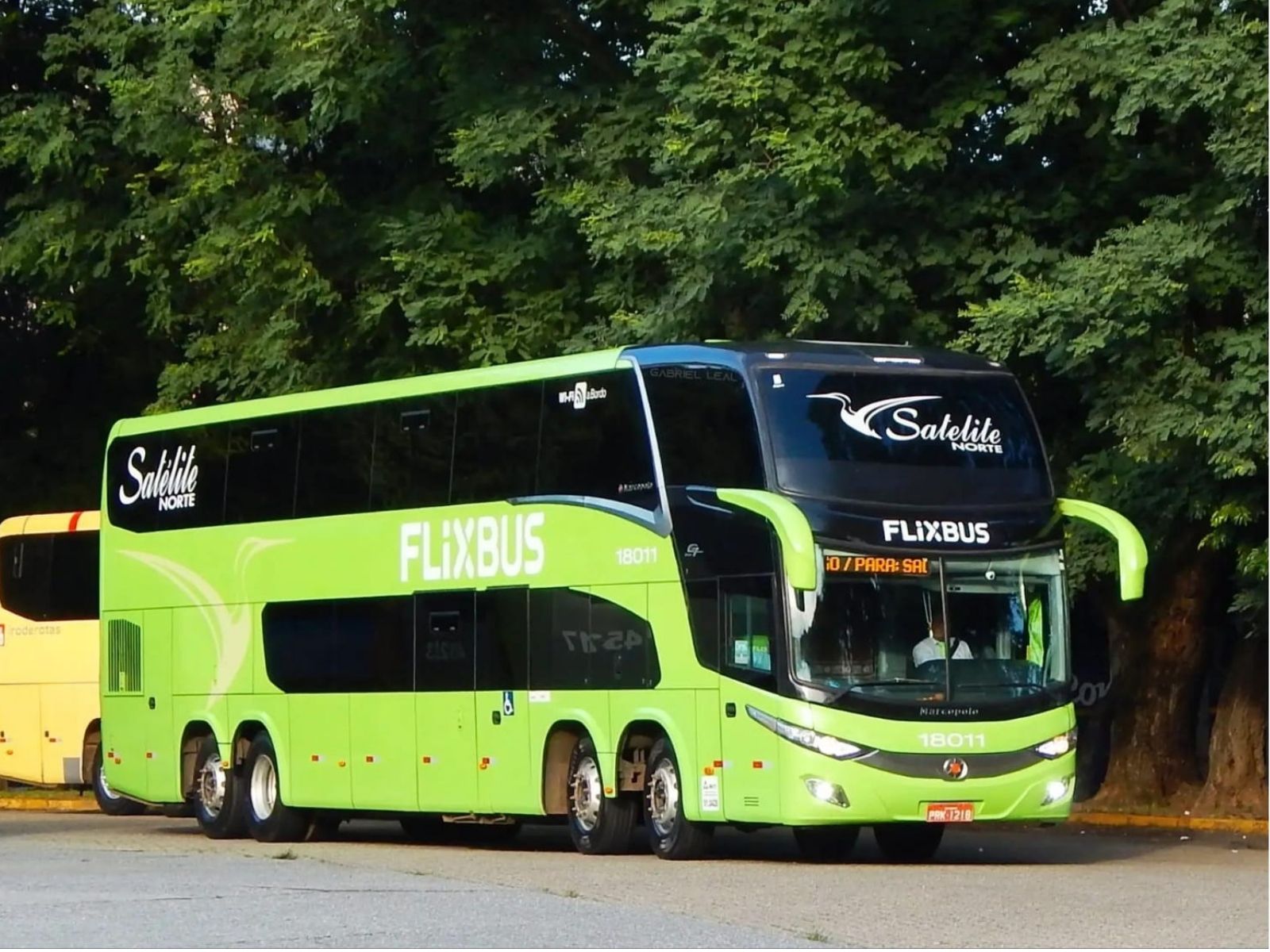 Flixbus entra na mira do Cade após denúncia da ANTT sobre práticas no setor de ônibus