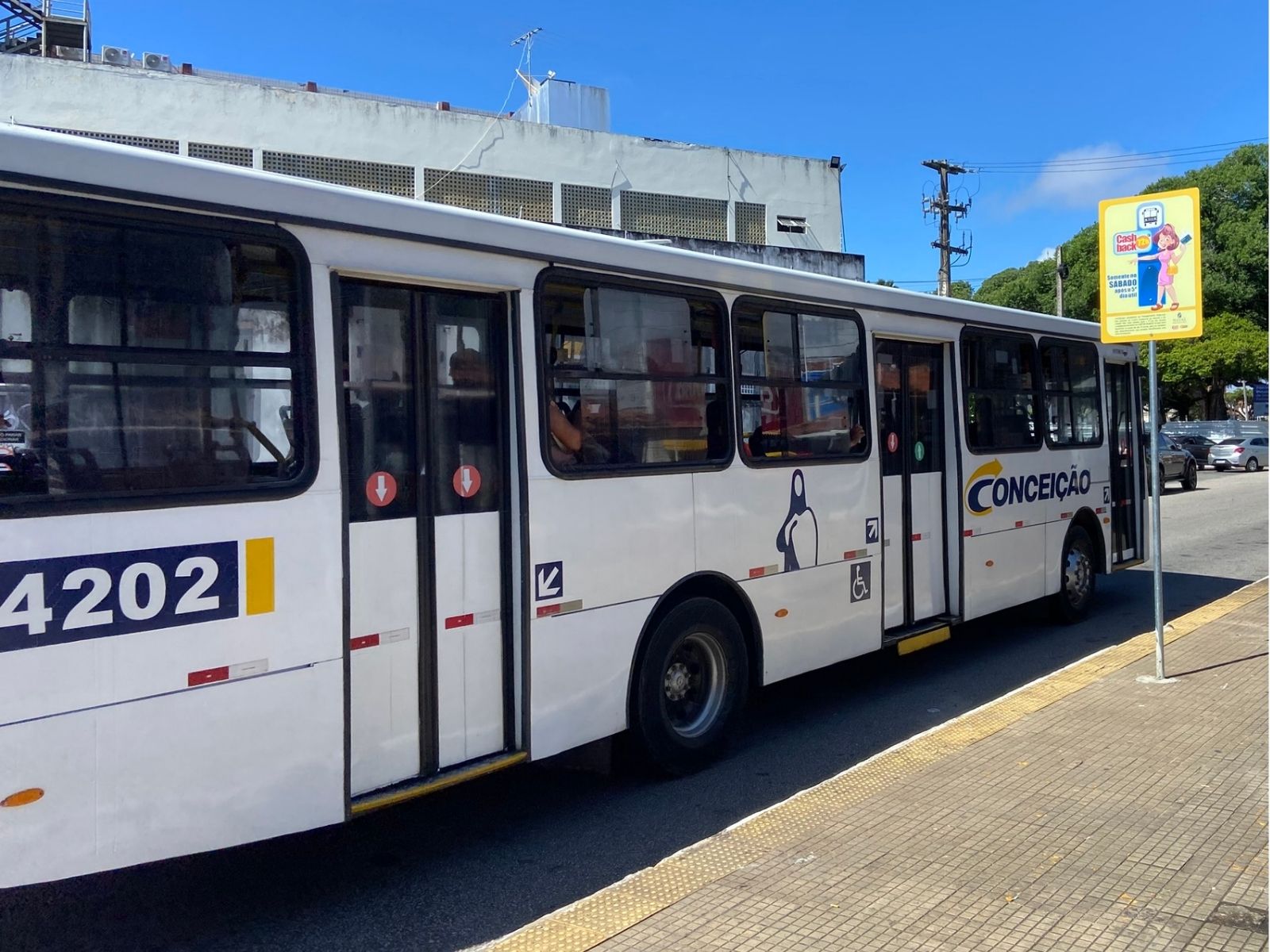 Está na hora do MPRN investigar por que o cashback do transporte não alcança toda a cidade