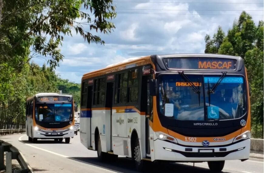 Conorte apresenta 50 ônibus novos para o transporte público do Grande Recife