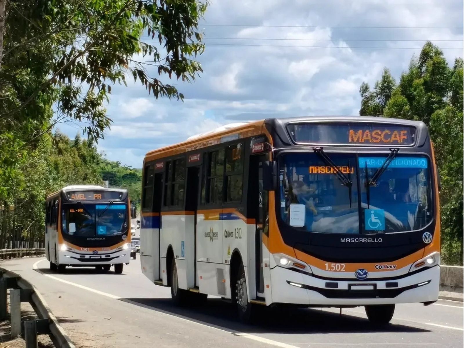 Conorte apresenta 50 ônibus novos para o transporte público do Grande Recife