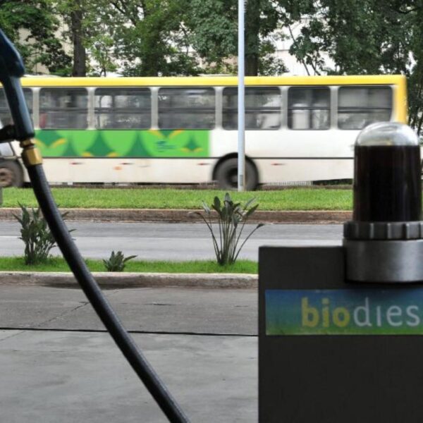 ‘Rei do biodiesel’ doou R$ 1 milhão para campanhas presidenciais de Lula e Flávio Bolsonaro