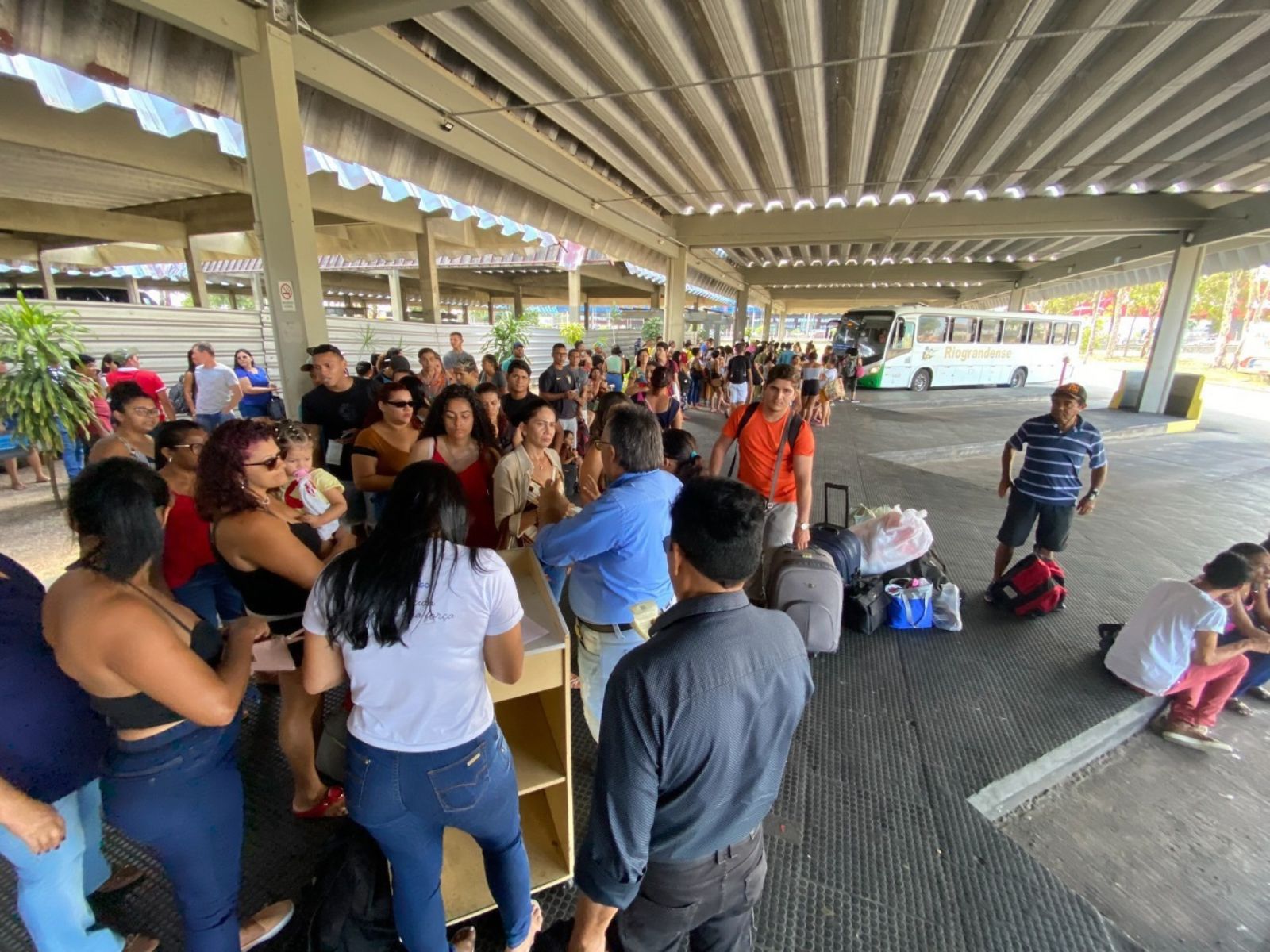 Eleições 2026: mais de 15 mil passagens gratuitas já foram distribuídas no RN