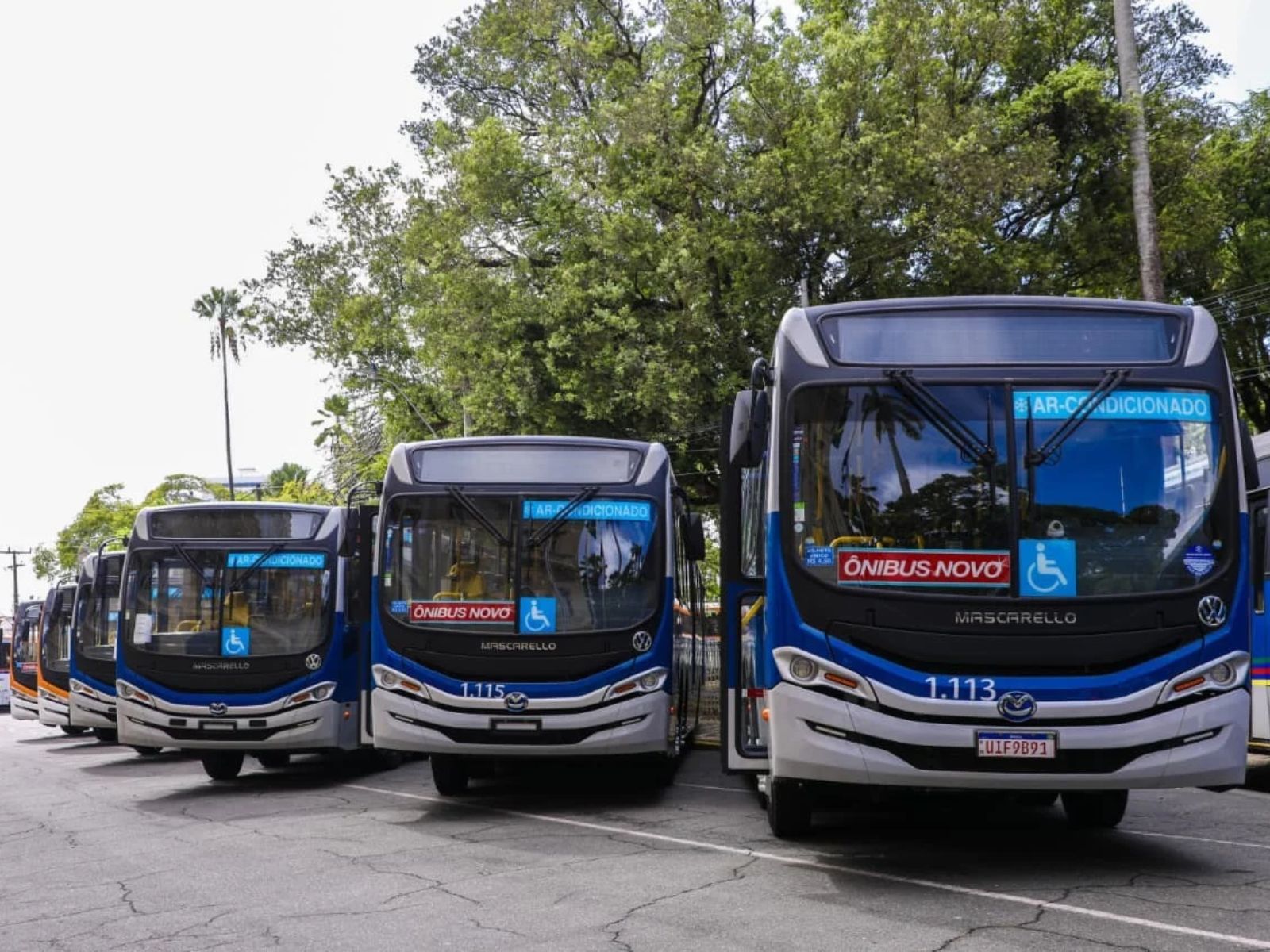 Grande Recife recebe 100 novos ônibus climatizados