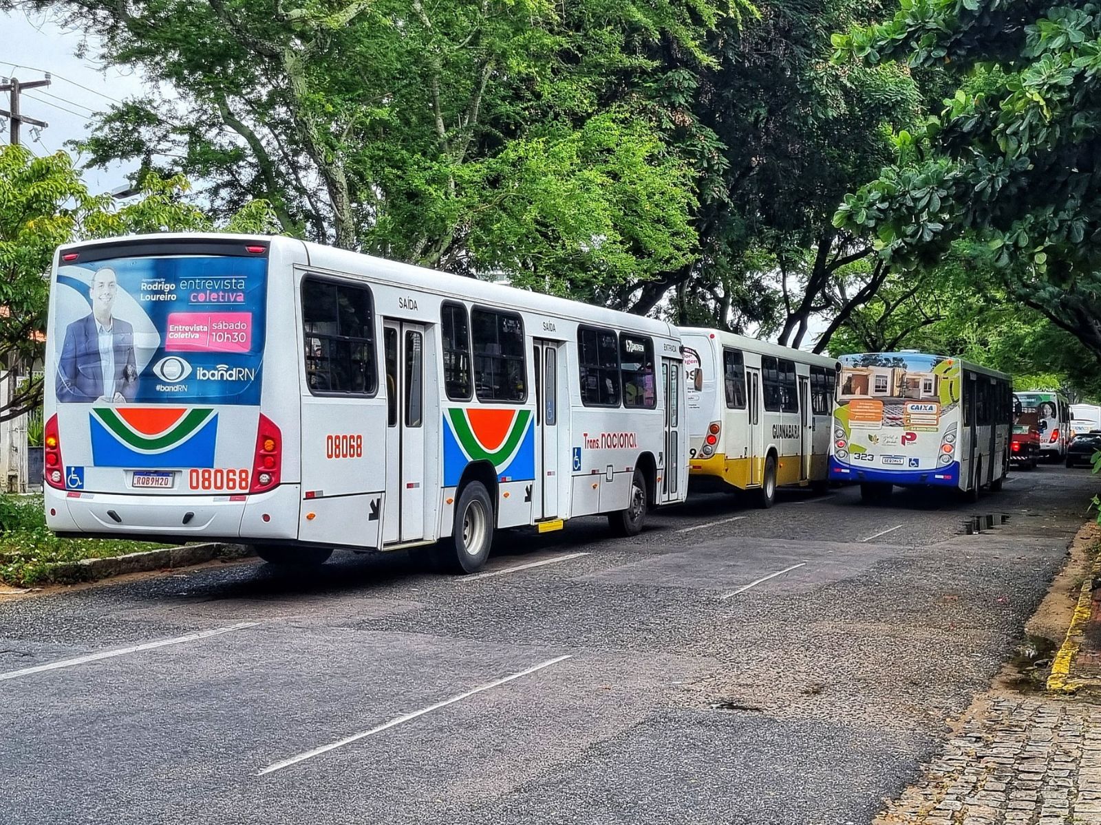 MP Eleitoral cobra transporte gratuito e reforço da frota no RN no segundo turno