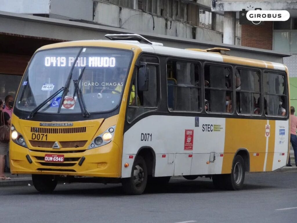 Salvador revoga licitação para compra de 180 ônibus dos amarelinhos